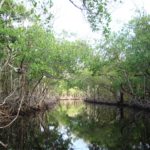 Captain Jack's Everglade Bout Tours