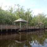 Tour the Everglades - Boat docks. Copyright Captain Jack's