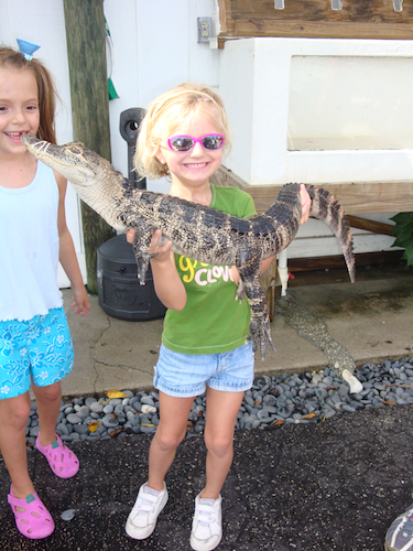 Bring Your Camera on Your Everglades Boat Tour