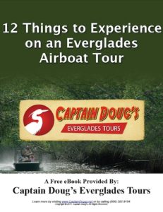 12 Things to Experience on an Everglades Airboat Tour