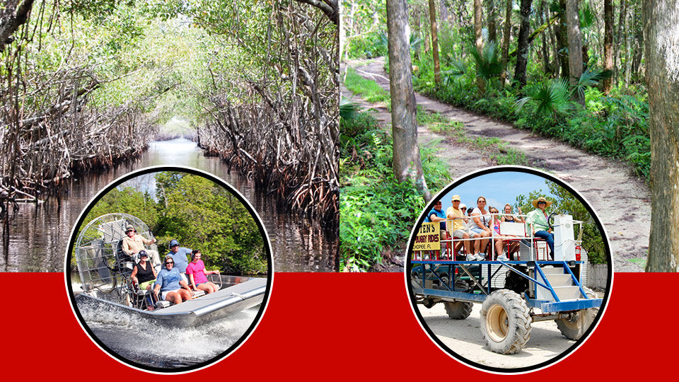 captain jack's swamp buggy tour