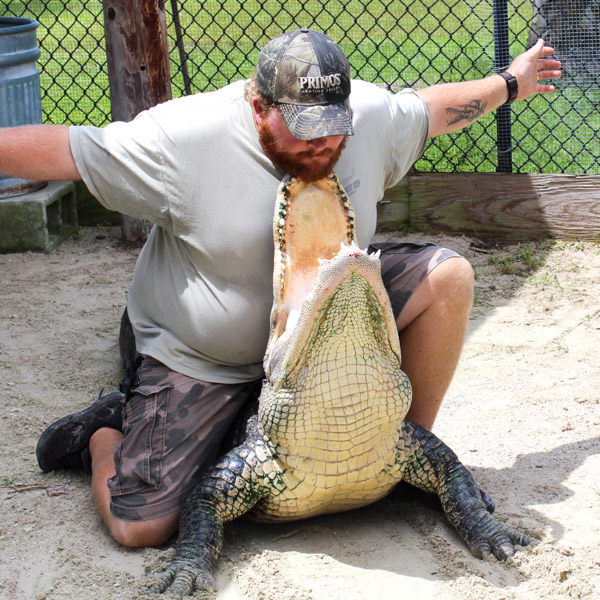 gator dating site hanging out but not dating