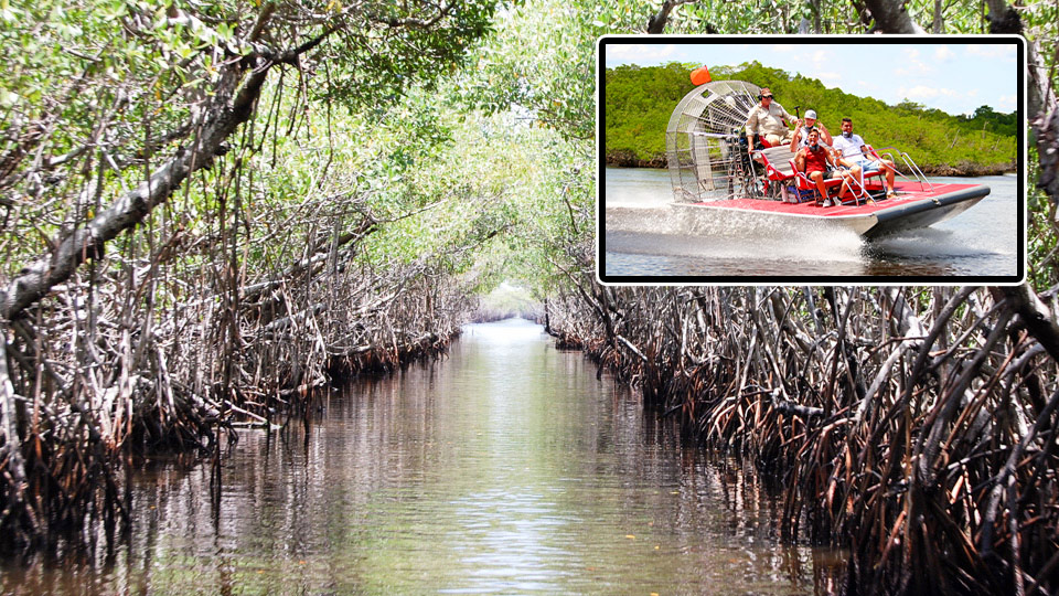 Everglades Airboat Tours More Captain Jack S Airboat Tours