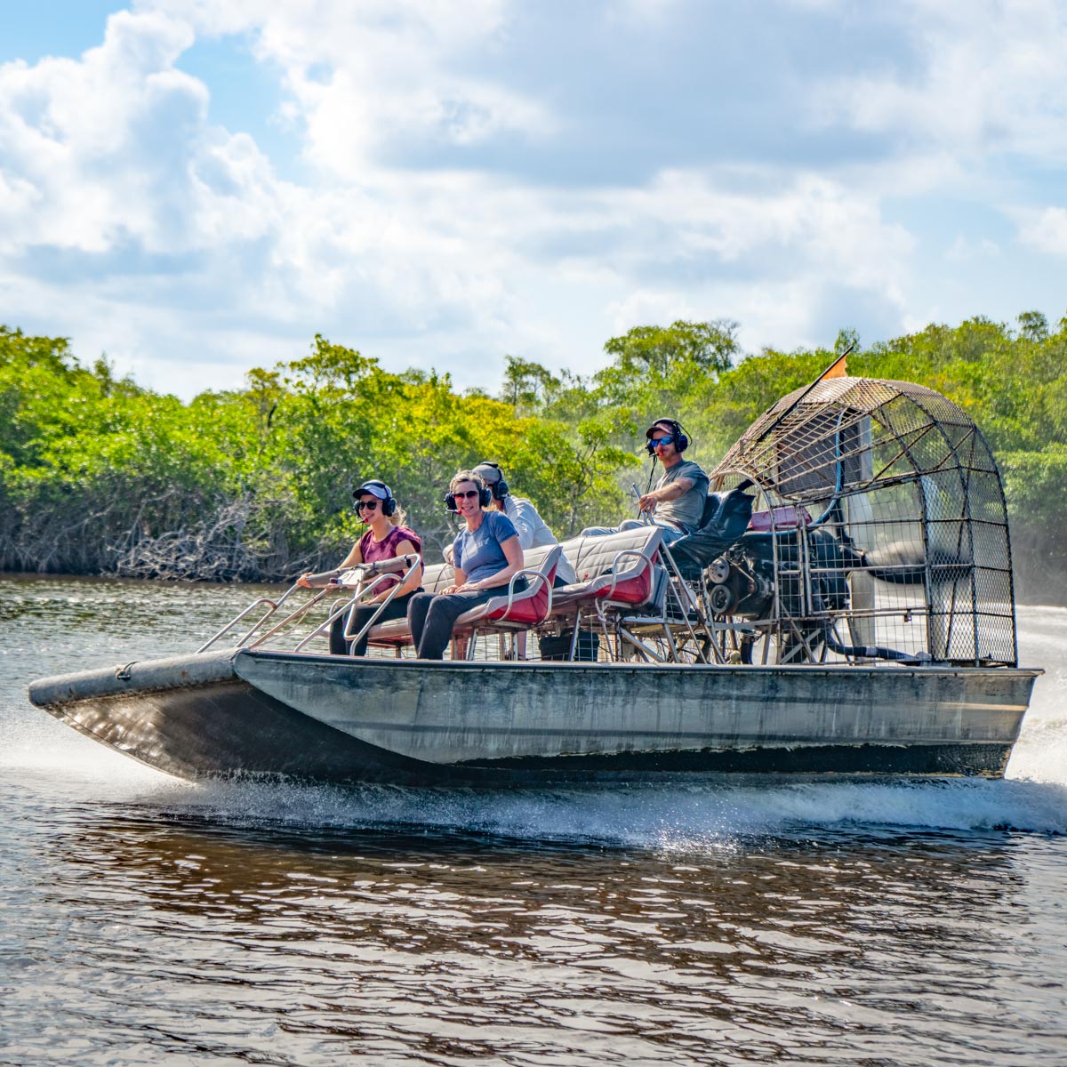 airboat tours mangroves