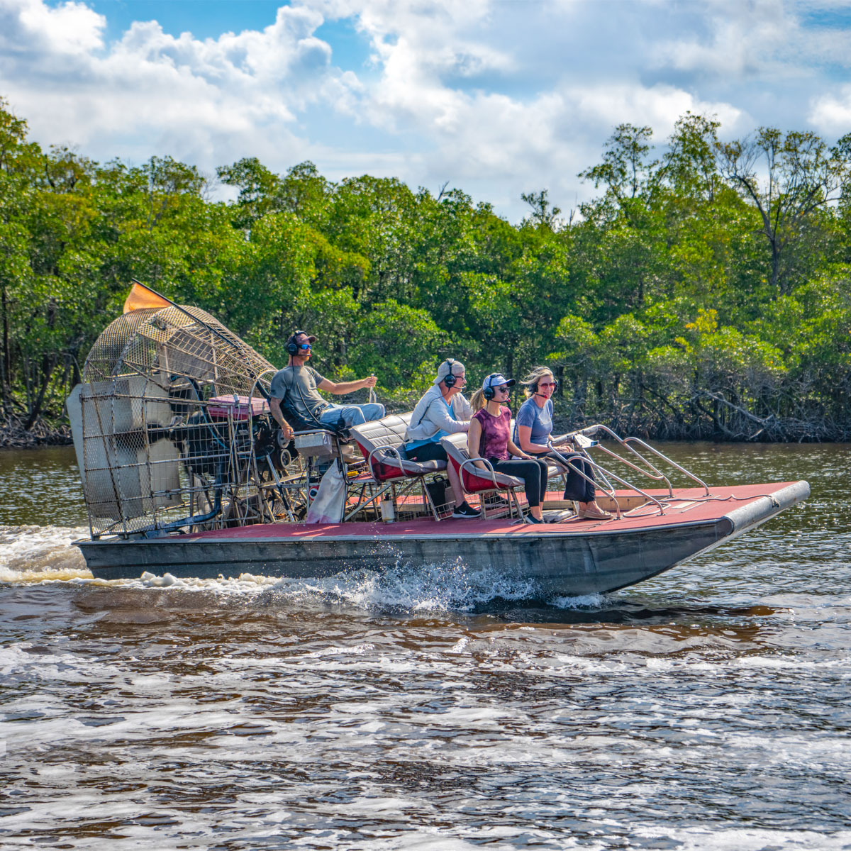 airboat tours mangroves